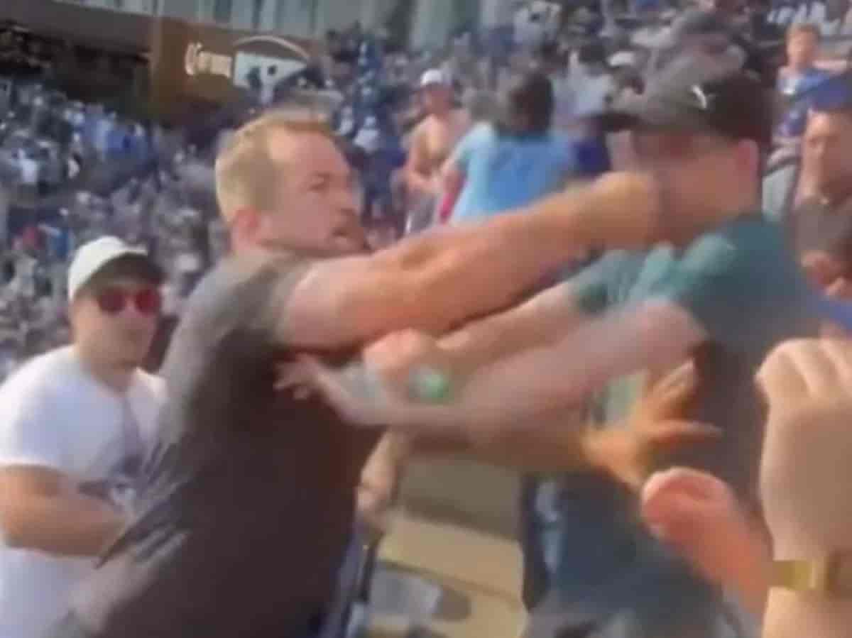 blue jays fan (2)